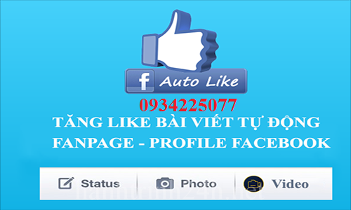 Dịch vụ tăng Like tự động theo tháng Dịch vụ tăng Like tự động theo tháng